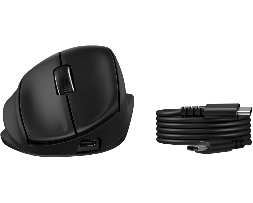 HP 725M Ergonomisch, 21° Neigung, 7 Tasten, kabellos, Schwarz