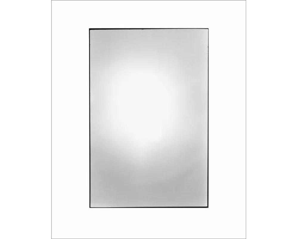 Zoe Leonard: Available Light