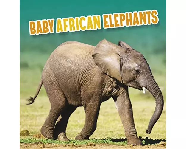 Baby African Elephants