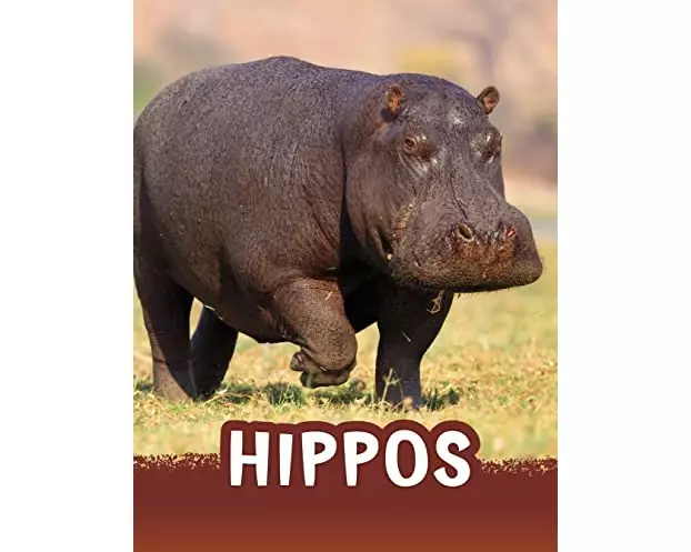 Hippos