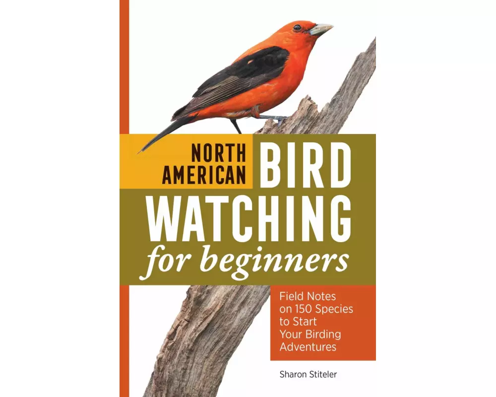 North American Bird Watching for Beginners