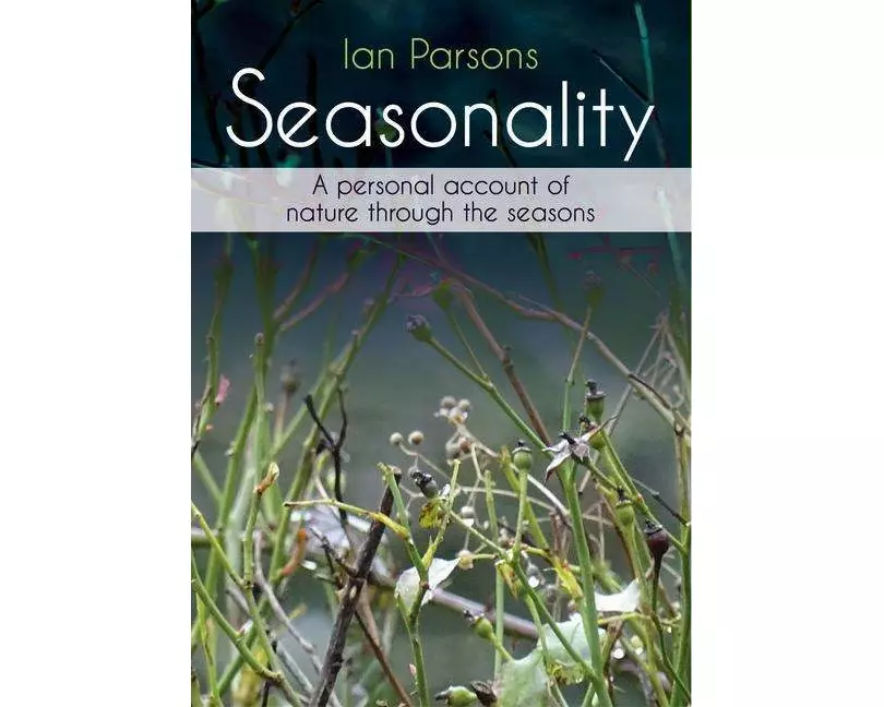 Seasonality