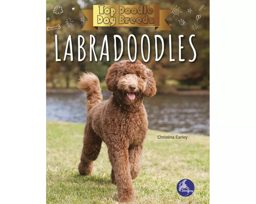 Labradoodles