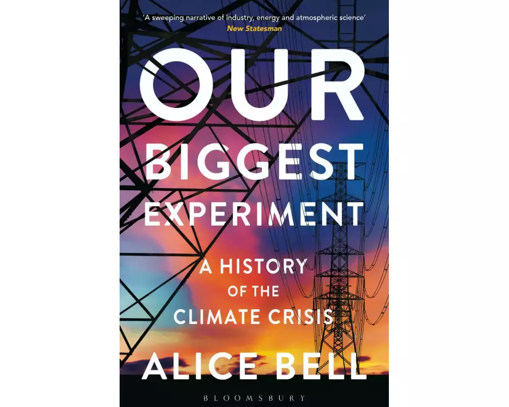 Our Biggest Experiment