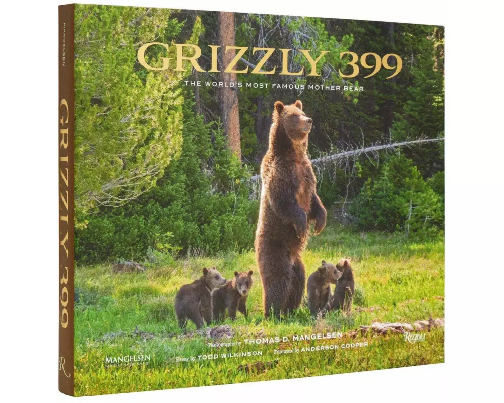 Grizzly 399