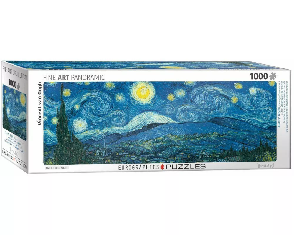 Starry Night Panorama