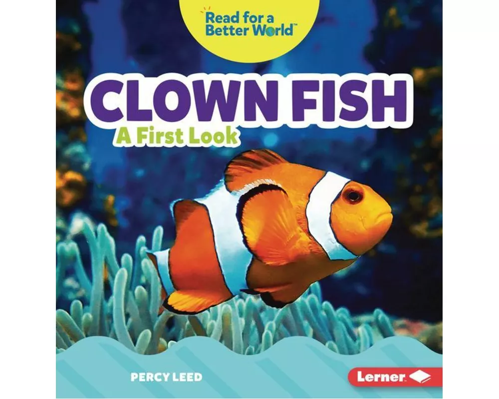 Clown Fish