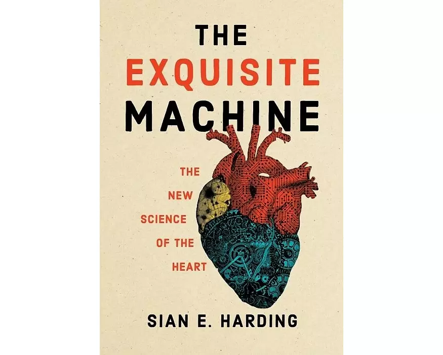 The Exquisite Machine