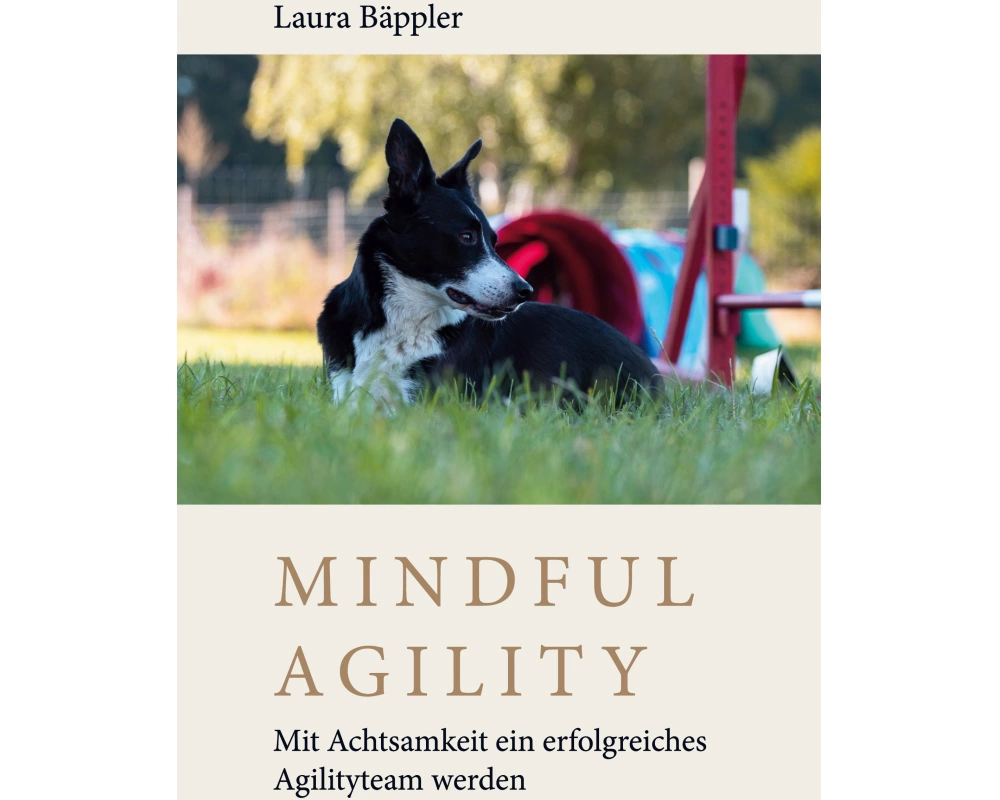 Mindful Agility