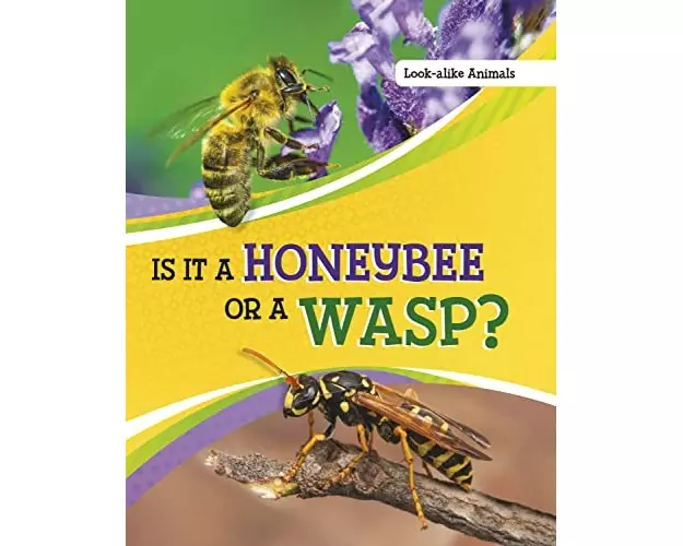 Is It a Honeybee or a Wasp?