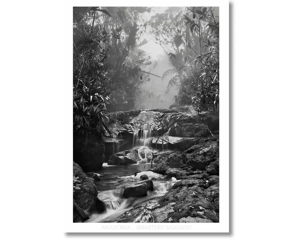 Sebastião Salgado. Amazônia. Poster ‘Creek’