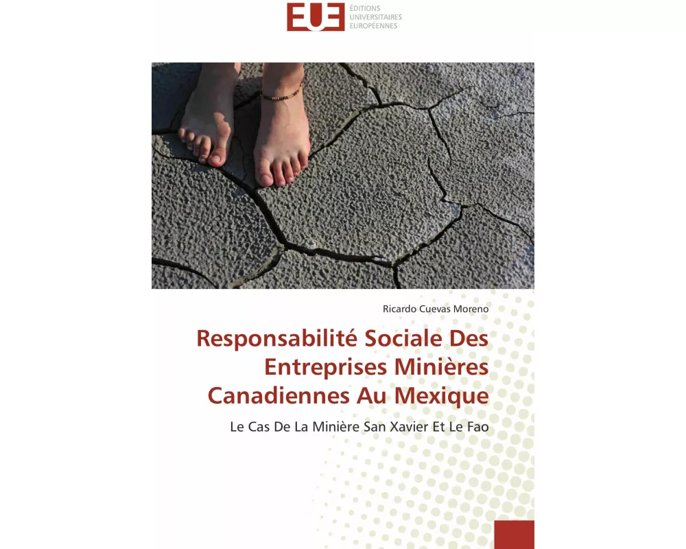 Responsabilité Sociale Des Entreprises Minières Canadiennes Au Mexique