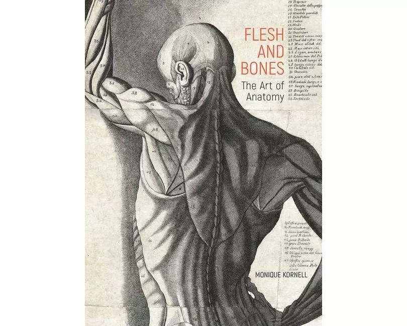 Flesh and Bones