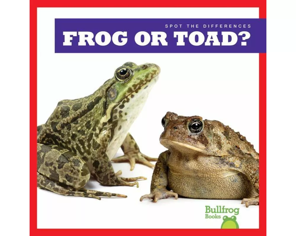 Frog or Toad?