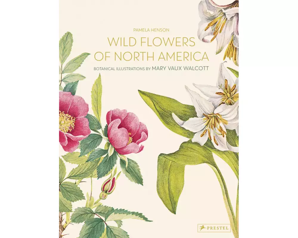 Wild Flowers of North America