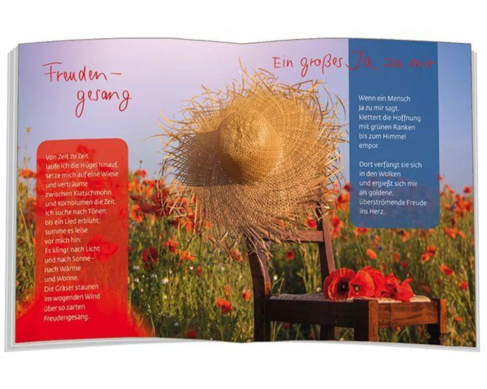 Ich wünsch dir Freude allezeit