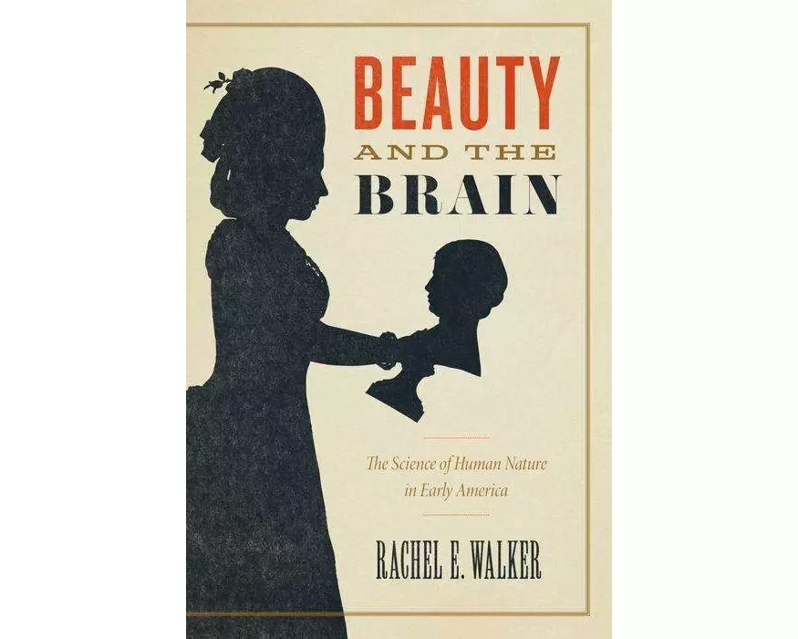 Beauty and the Brain