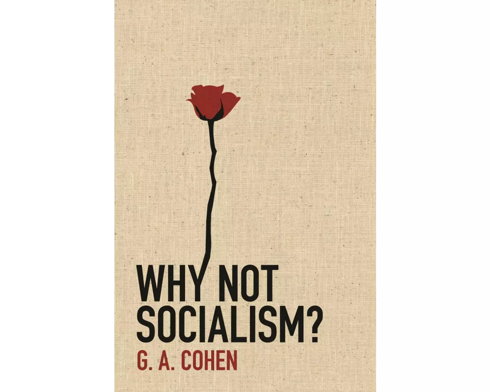 Why Not Socialism?