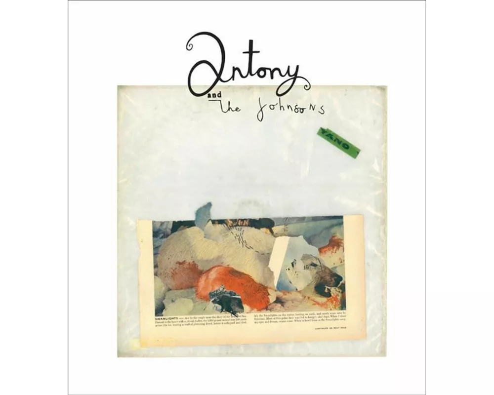 Antony and the Johnsons