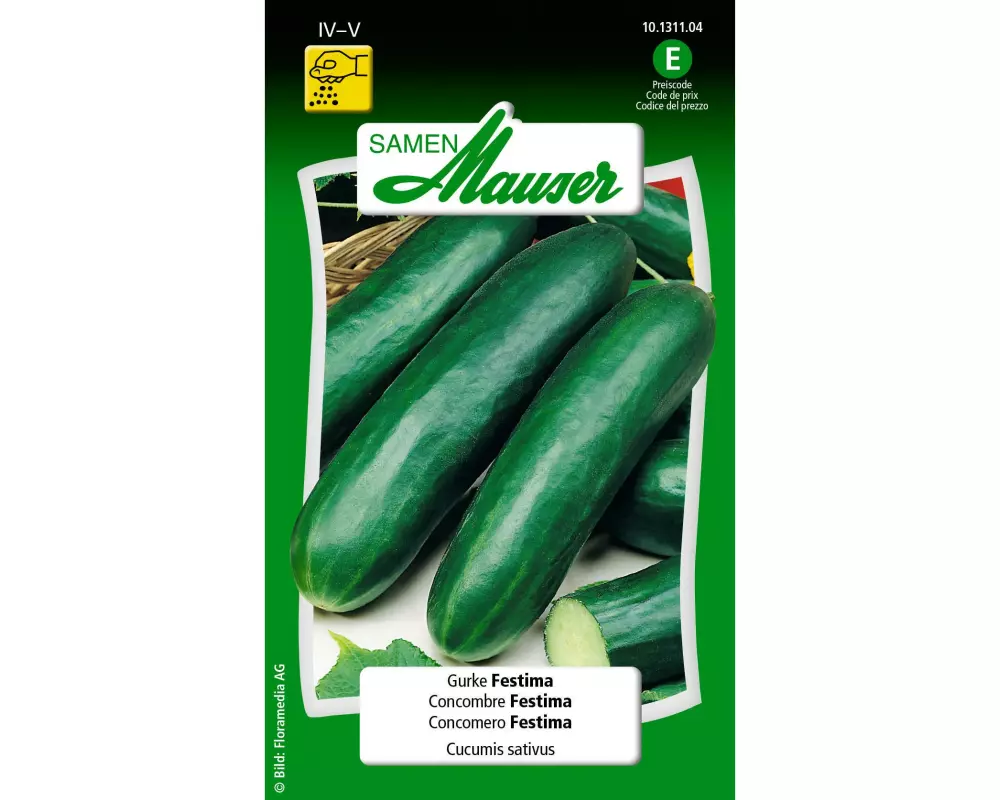 Samen Mauser Samen Gurke Festima