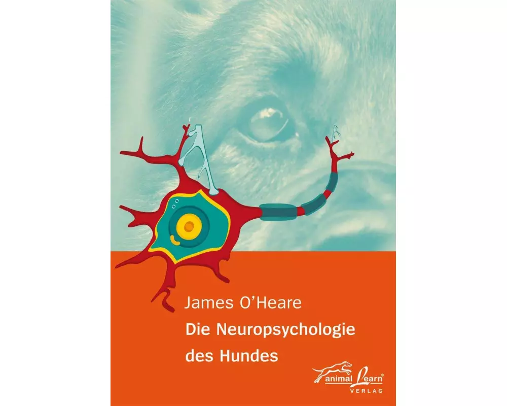 Die Neuropsychologie des Hundes