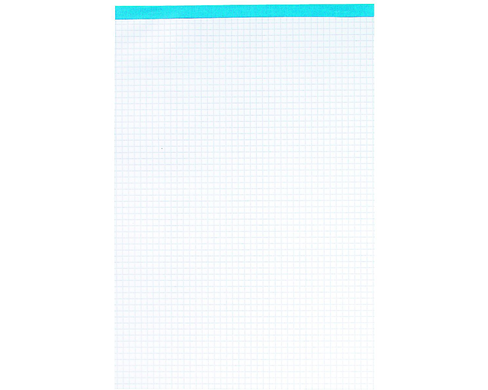 ELCO Notizblock Office A4 73411.18 kariert, 65g 100 Blatt