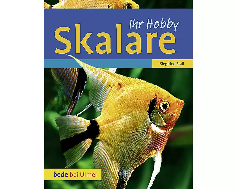 Skalare