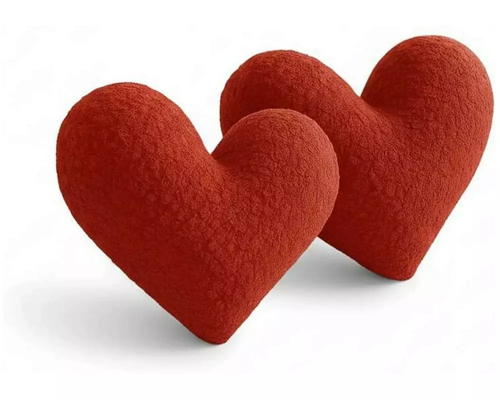 Conceptum Hypnose Kissen Herz 42 x 45 cm, Rot