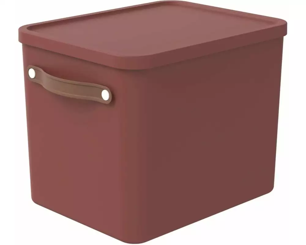 Rotho Aufbewahrungsbox MALOJA Dunkelbraun