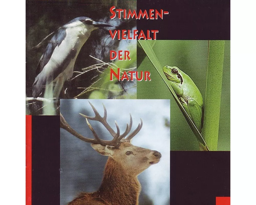 Stimmenvielfalt der Natur