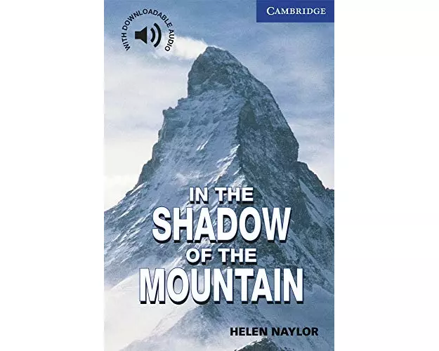 In the Shadow of the Mountain Level 5