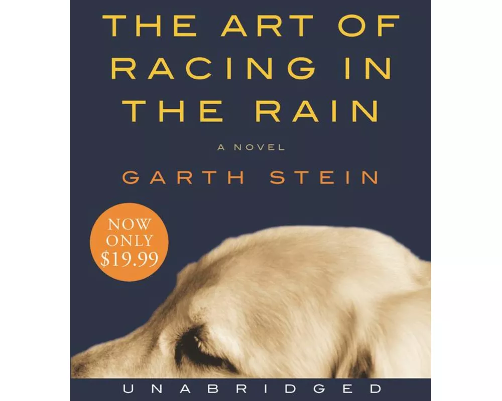 The Art of Racing in the Rain