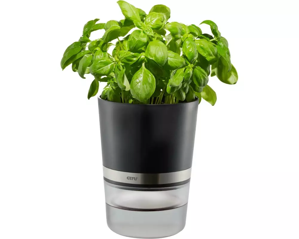 GEFU Kräutertopf Botanico Transparent/Schwarz/Silber