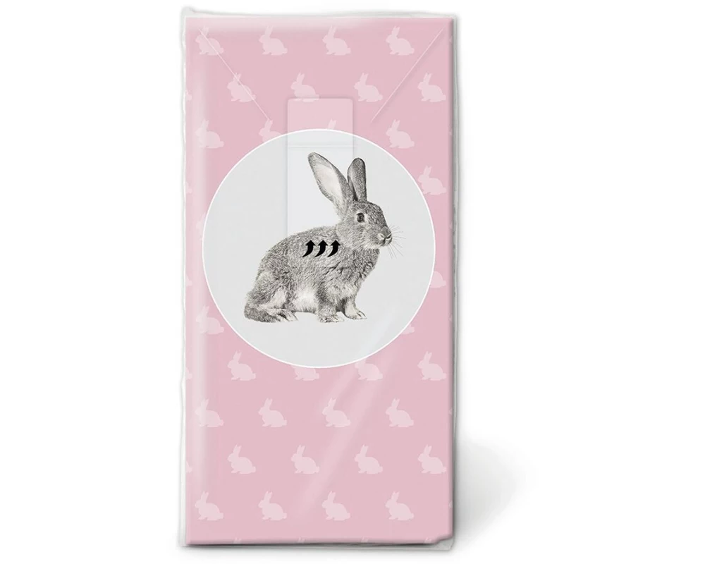 Paper + Design Taschentücher Rabbit 10 Stück