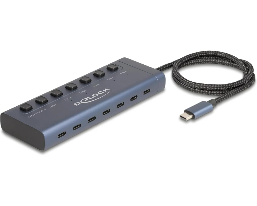 Delock USB 5 Gbps Hub