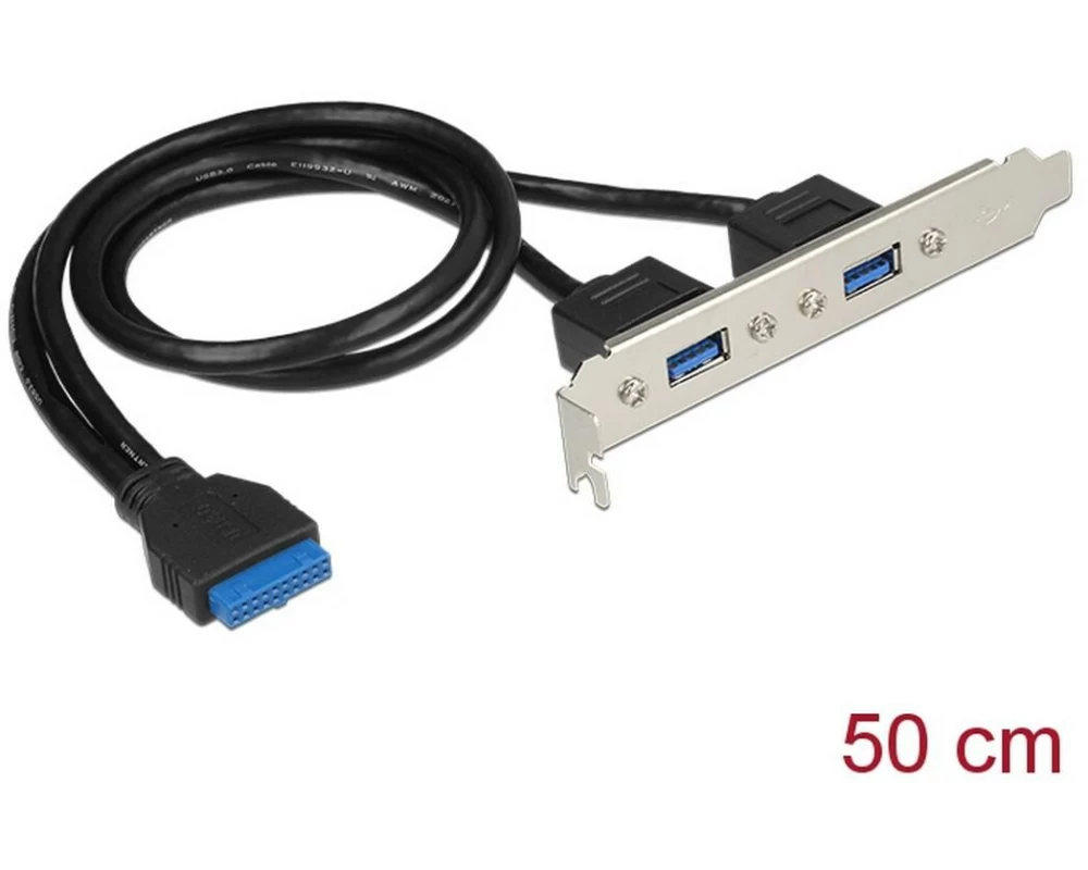 Delock Slotblech 1x19Pin, 2xUSB-A