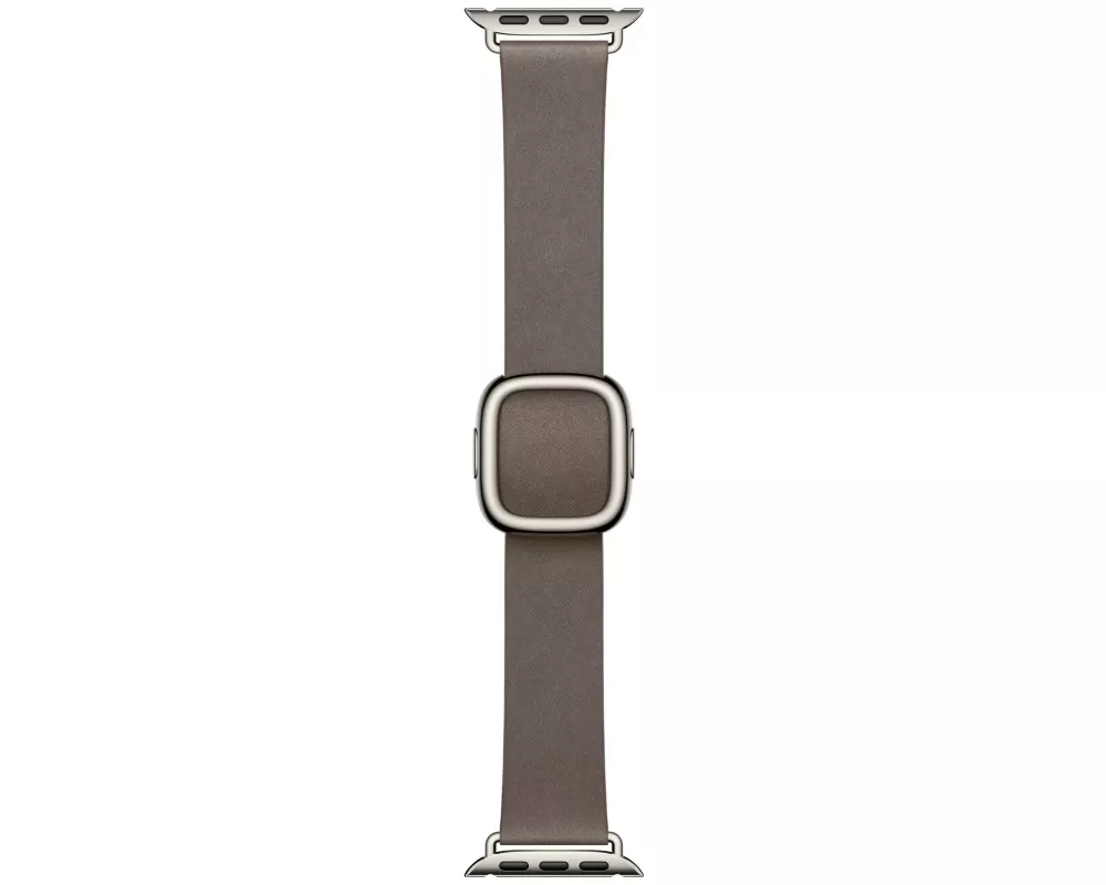 Apple 42mm Dark Taupe Modern Buckle - Medium
