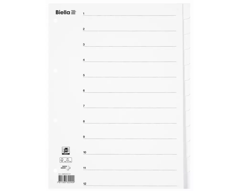 Biella Register A4 Karton 12-teilig mit Indexblatt