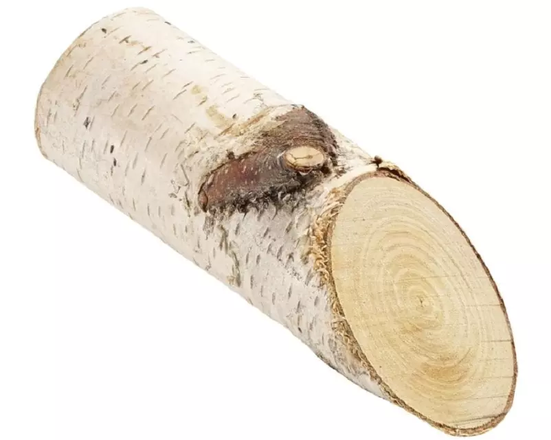 HobbyFun Naturmaterialien Birkenstämmchen 15 cm