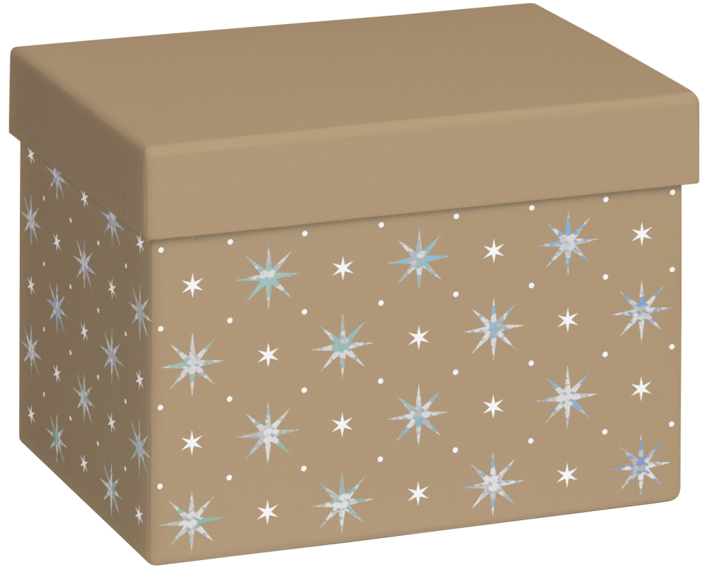 STEWO Geschenkbox Zidonia 2551511596 gold 12x16.5x12cm