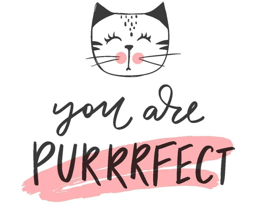 Paper + Design Taschentücher Purrrfect 10 Stück