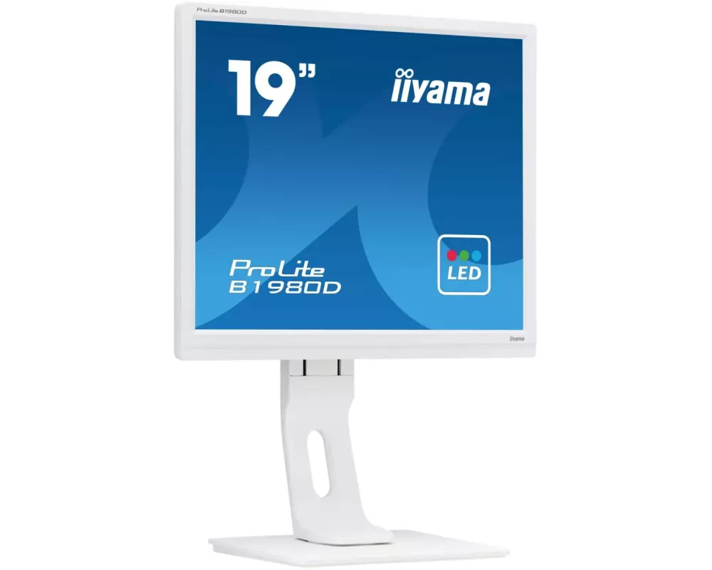 iiyama Monitor ProLite B1980D-W1