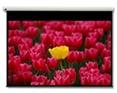 GLASS-FIBRE CANVAS WHITE MOTOR 2756 X 1849