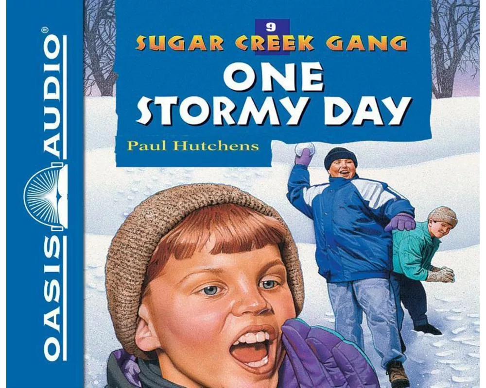 One Stormy Day (Library Edition)