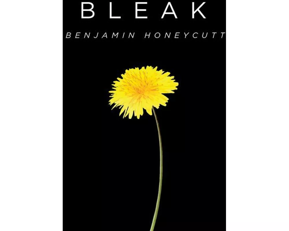 Bleak: A Story of Bullying, Rage, and Survival