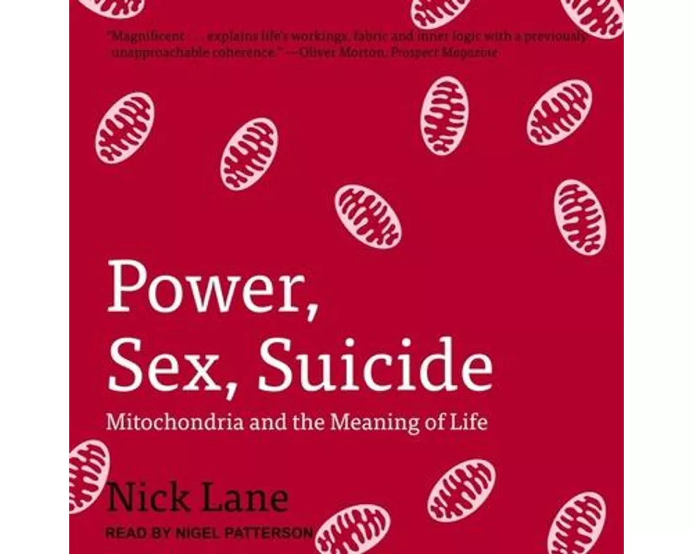 Power, Sex, Suicide