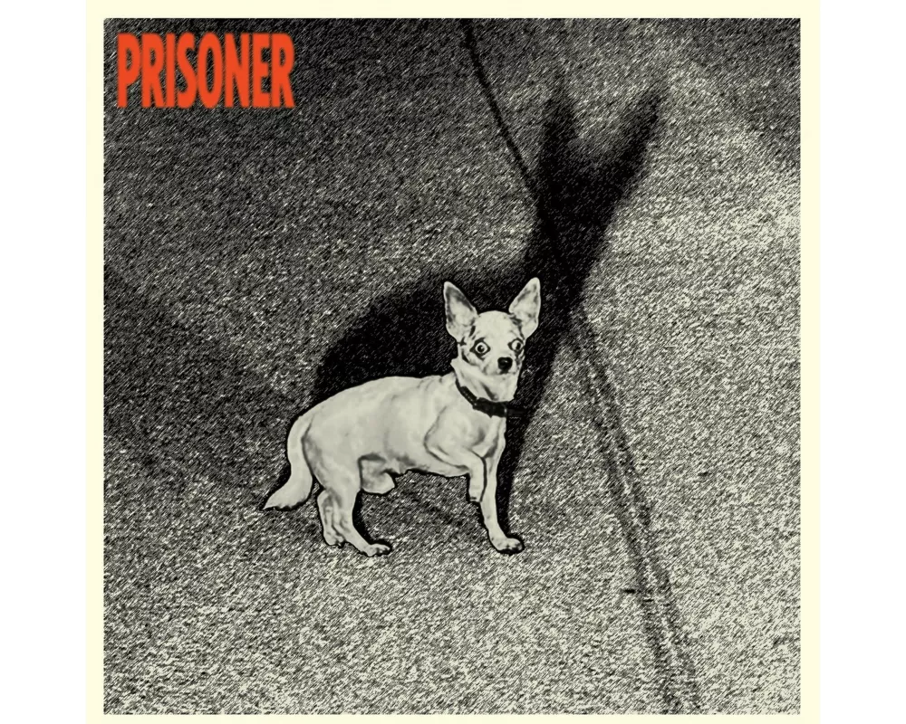 Prisoner