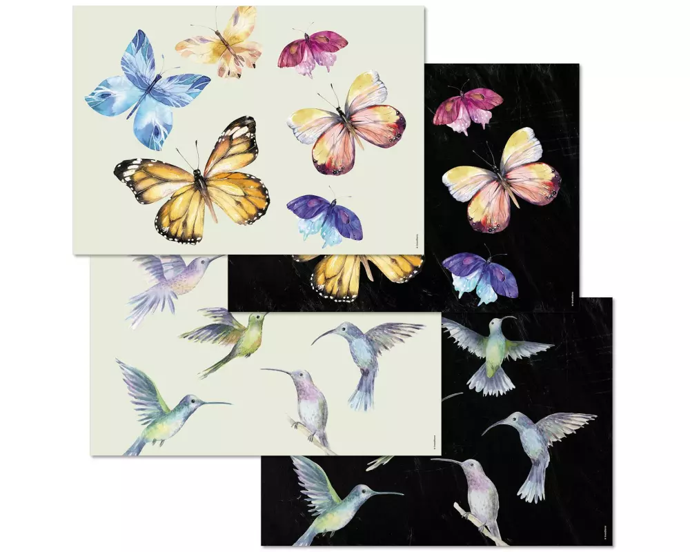 Trendform Tischset Fly away 42 x 29.7 cm