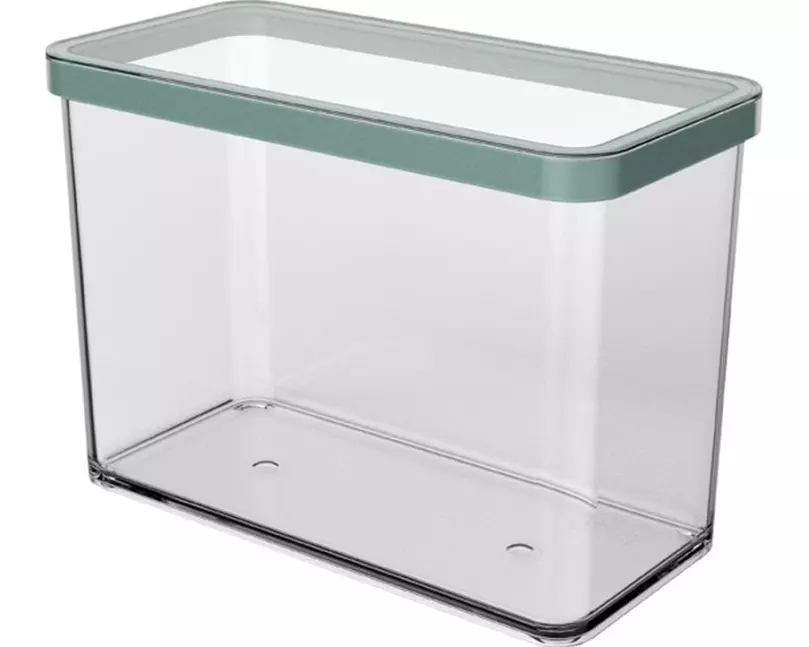 Rotho Vorratsbehälter Premium Loft 2.1 l, Transparent/Grün