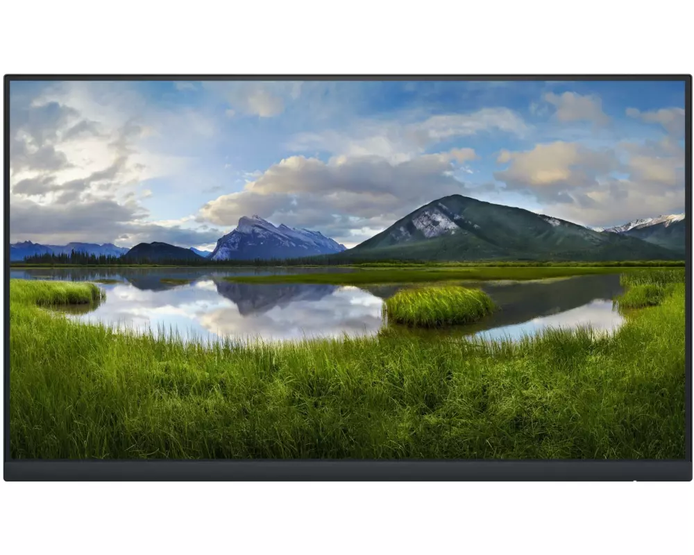 DELL Monitor P2422H ohne Standfuss